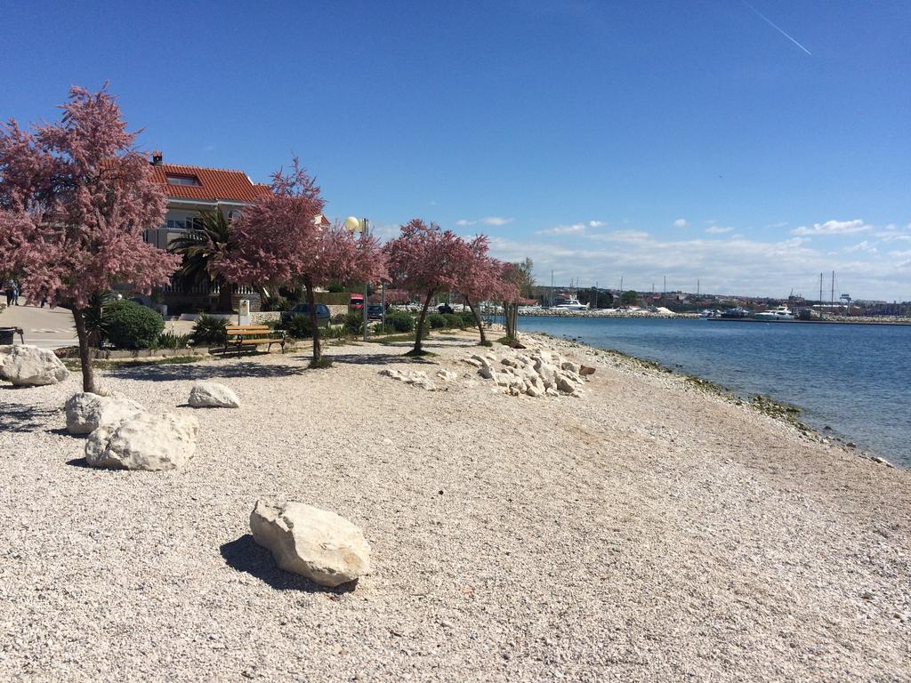 Apartment Valery Zadar Eksteriør billede